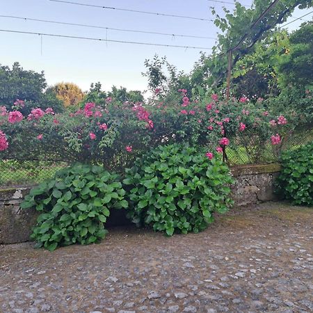 Quinta Do Vale Do Monte Guest House Виана до Кастело Екстериор снимка