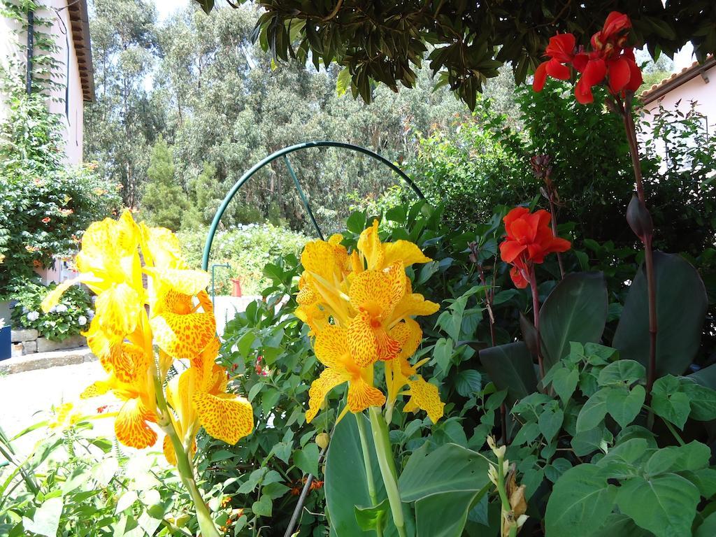 Quinta Do Vale Do Monte Guest House Виана до Кастело Екстериор снимка