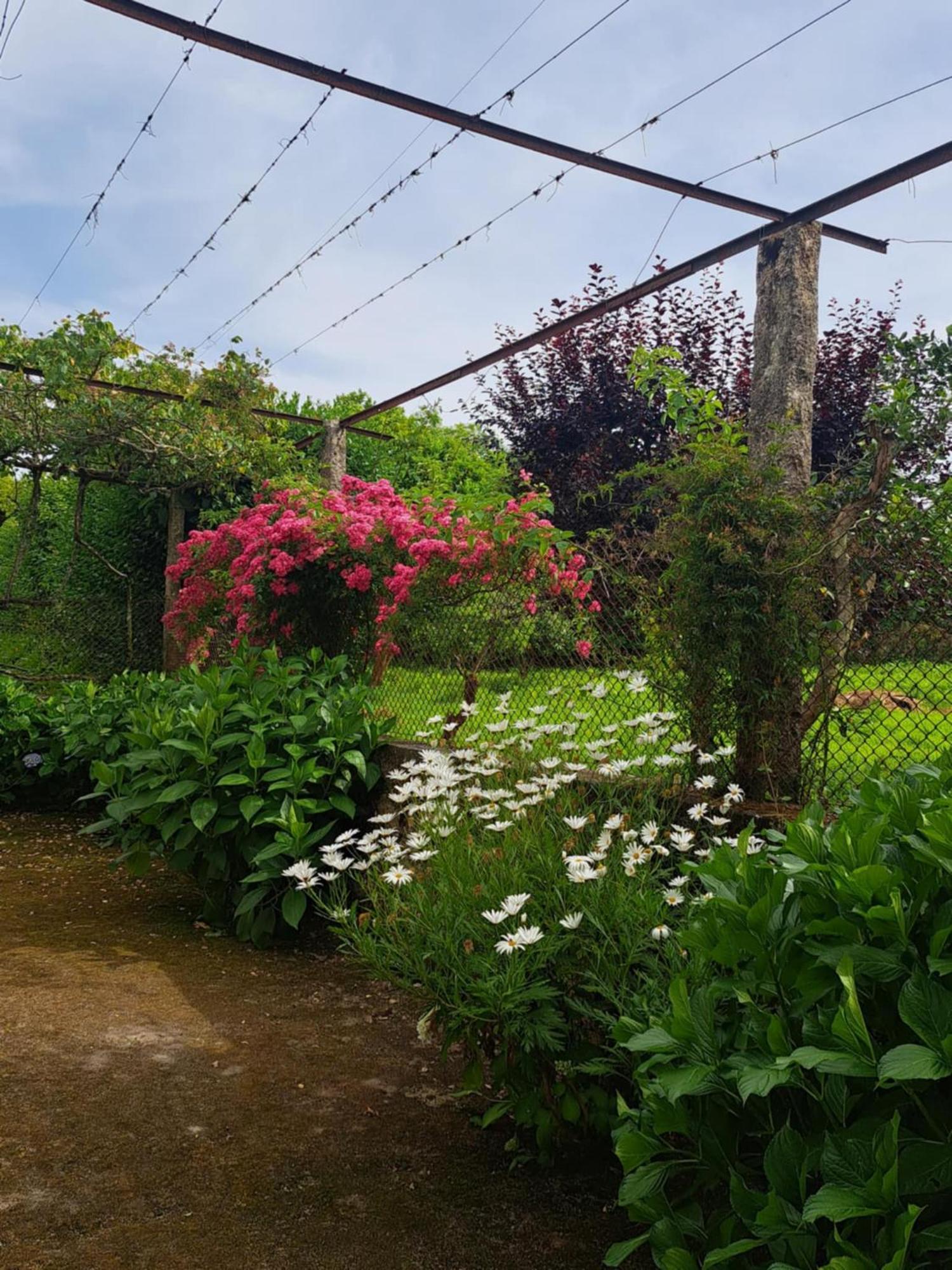 Quinta Do Vale Do Monte Guest House Виана до Кастело Екстериор снимка
