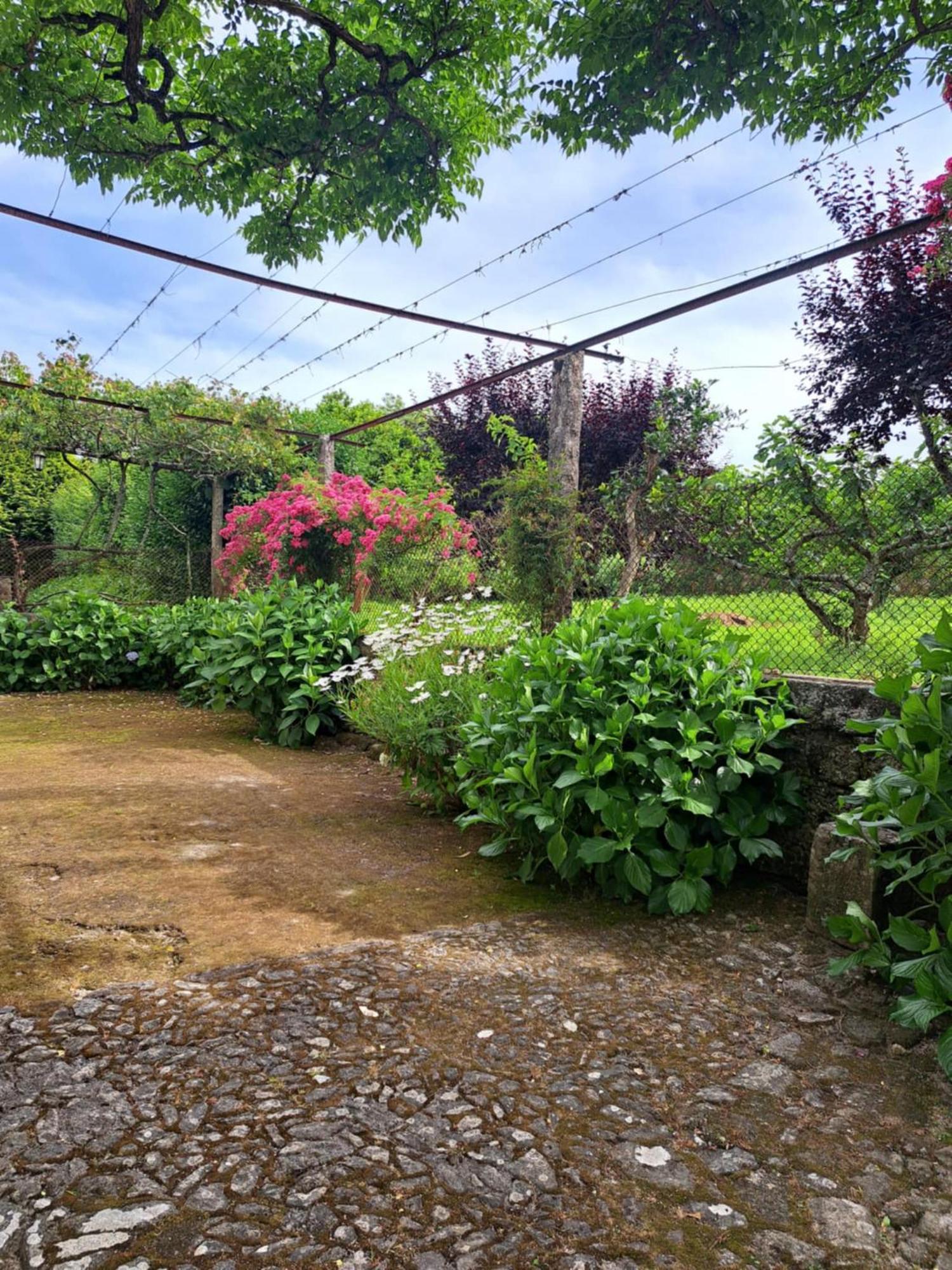 Quinta Do Vale Do Monte Guest House Виана до Кастело Екстериор снимка