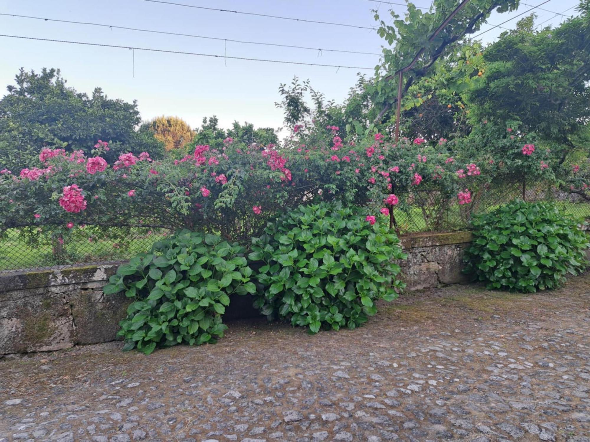 Quinta Do Vale Do Monte Guest House Виана до Кастело Екстериор снимка