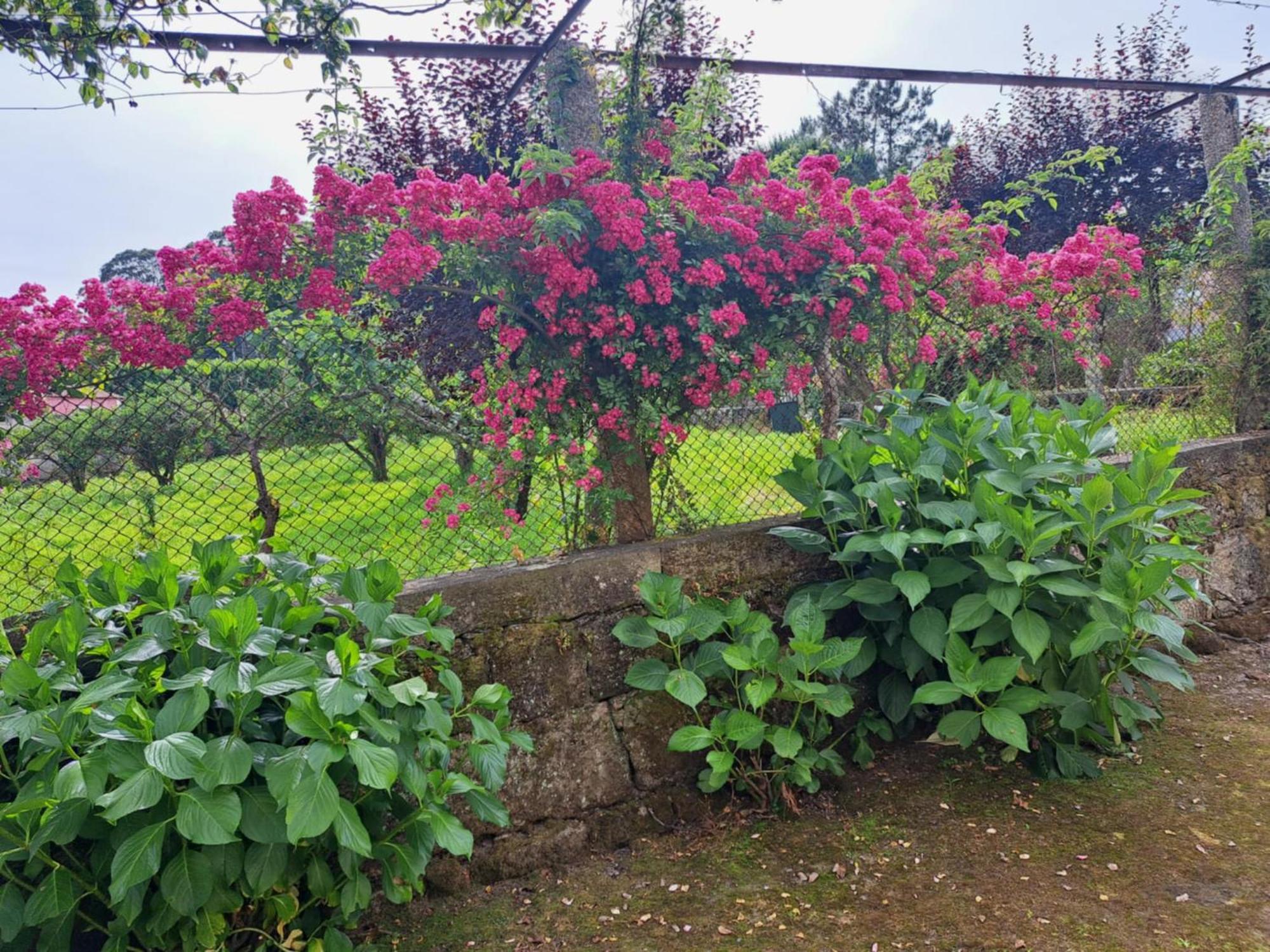 Quinta Do Vale Do Monte Guest House Виана до Кастело Екстериор снимка