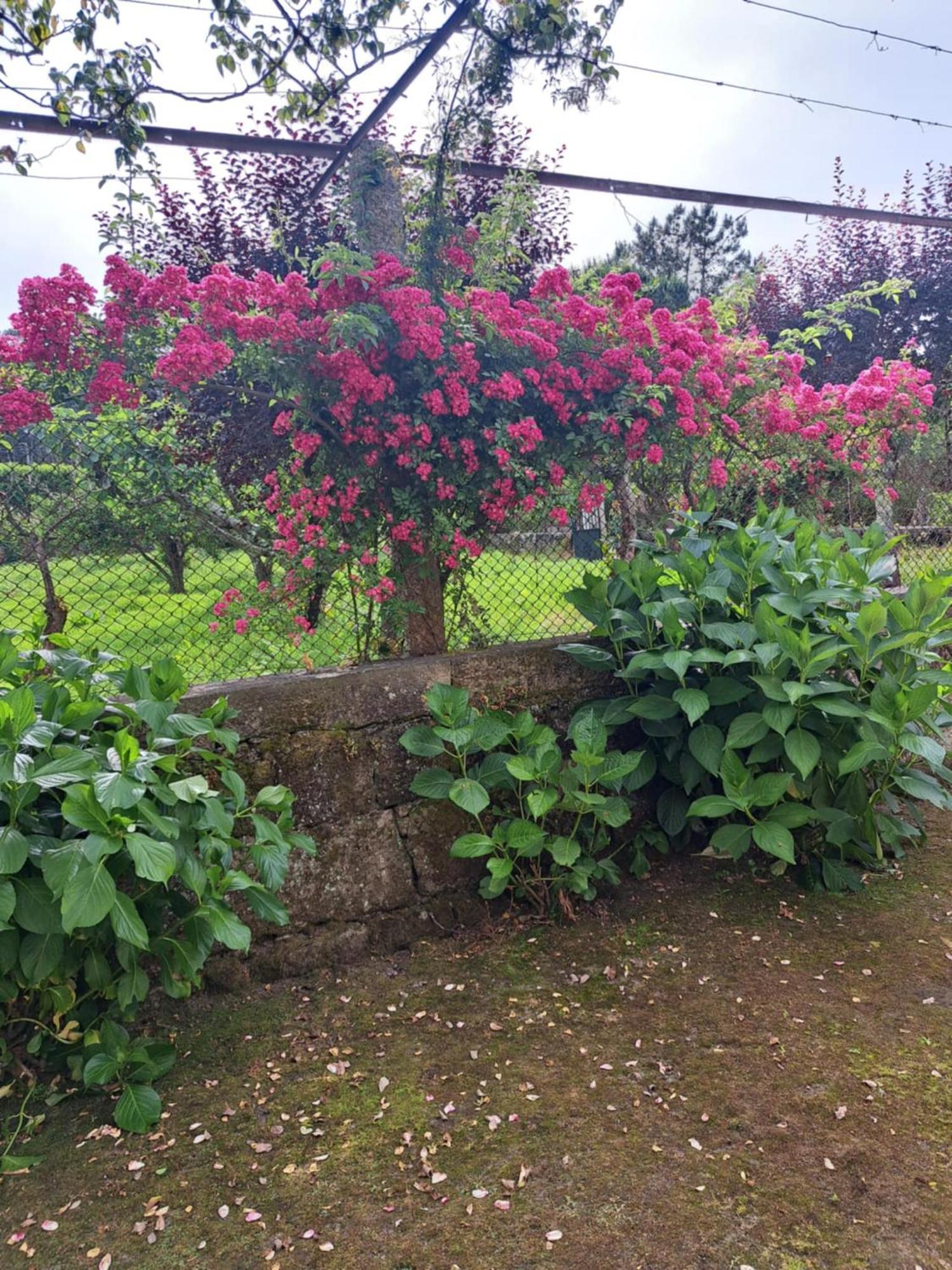 Quinta Do Vale Do Monte Guest House Виана до Кастело Екстериор снимка