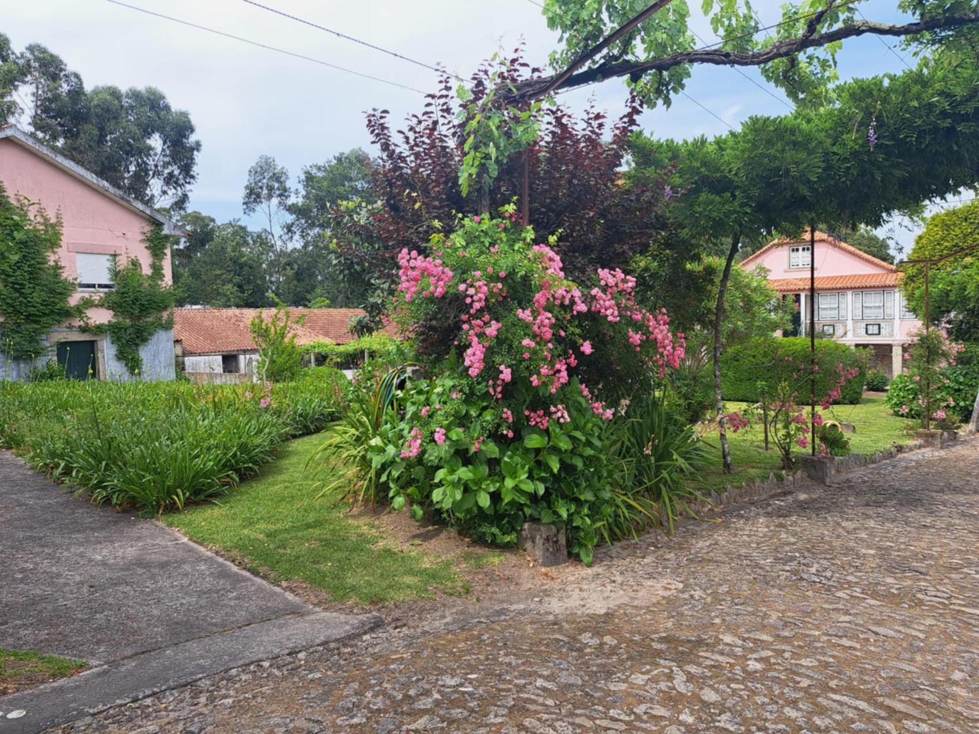 Quinta Do Vale Do Monte Guest House Виана до Кастело Екстериор снимка