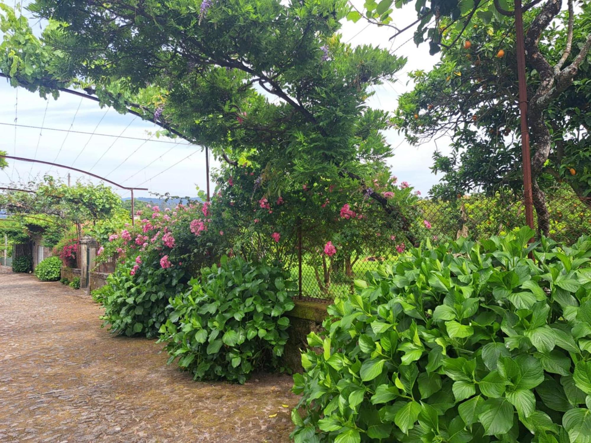 Quinta Do Vale Do Monte Guest House Виана до Кастело Екстериор снимка