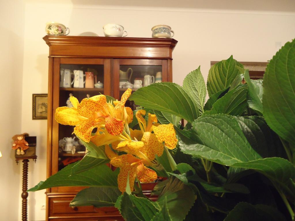Quinta Do Vale Do Monte Guest House Виана до Кастело Екстериор снимка