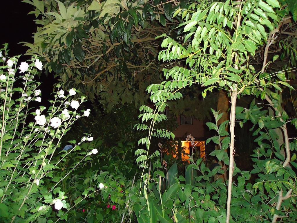 Quinta Do Vale Do Monte Guest House Виана до Кастело Екстериор снимка